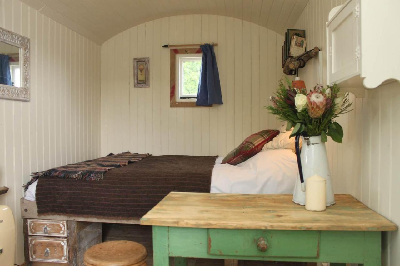 Sumners Ponds Fishery & Campsite Otel Horsham Dış mekan fotoğraf